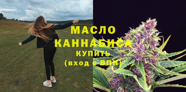 твердый Сатка