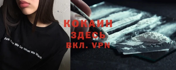 твердый Сатка