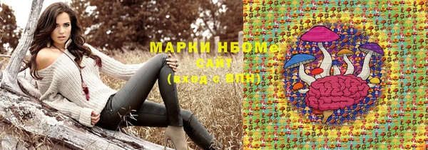 твердый Сатка