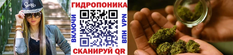 Канабис сатива  купить наркоту  Фатеж 